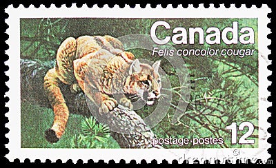 Postage stamp printed in Canada shows Puma Felis concolor couguar, Endangered Wildlife 1st series serie, circa 1977 Editorial Stock Photo