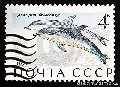 Short-beaked Common Dolphin Delphinus delphis, Marine Mammals serie, circa 1971 Editorial Stock Photo