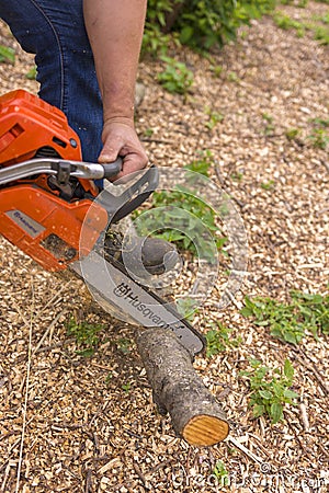 Moscow. Russia. 15 june 2019. Worker sawing twigs in the garden with a chainsaw Editorial Stock Photo