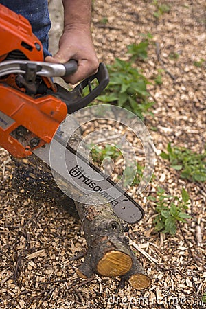 Moscow. Russia. 15 june 2019. Worker sawing twigs in the garden with a chainsaw Editorial Stock Photo