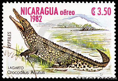 American Crocodyle Crocodylus acutus, Reptiles serie, circa 1982 Editorial Stock Photo