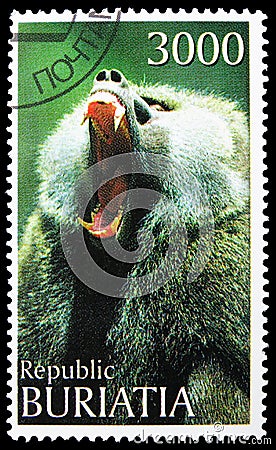 Postage stamp printed in Cinderellas shows Monkey, Buriatia Russia serie, circa 1997 Editorial Stock Photo