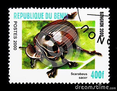 Scarab Beetle (Scarabeus sacer), serie, circa 2000 Editorial Stock Photo