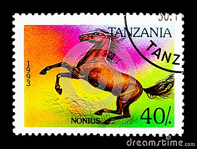 Nonius (Equus ferus caballus), Horses serie, circa 1993 Editorial Stock Photo