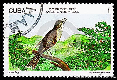 Cuban Solitaire (Myadestes elisabeth), Endemic birds serie, circa 1978 Editorial Stock Photo