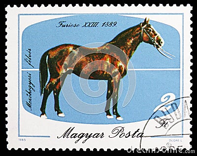 Furioso-23, 1889 (Equus ferus caballus), Horses serie, circa 1985 Editorial Stock Photo