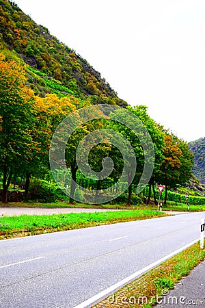 Mosel valley road with autumn trees at parking lot Lehmen Schleuse Stock Photo