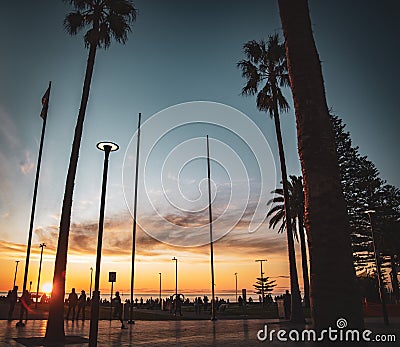 Moseley Square with silhouettes of long palm trees during sunset, Glenelg, Australia Stock Photo
