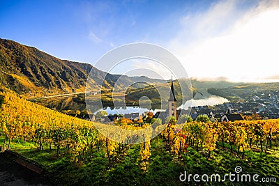 180-degree Moselle loop, vineyards, landscape and lighting in the morning, sunrise in autumn Stock Photo
