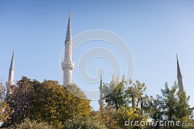Mosque minarets behind trees Stock Photo