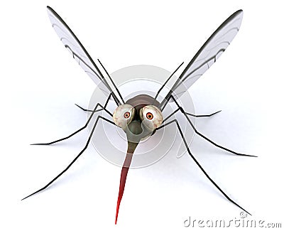 Mosquito Stock Photo