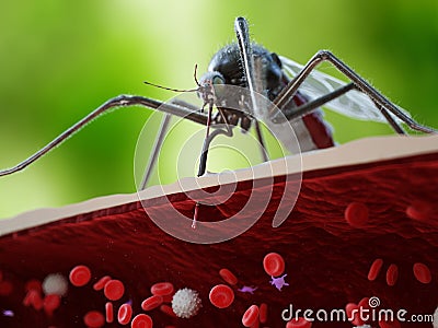 A mosquito bite Cartoon Illustration