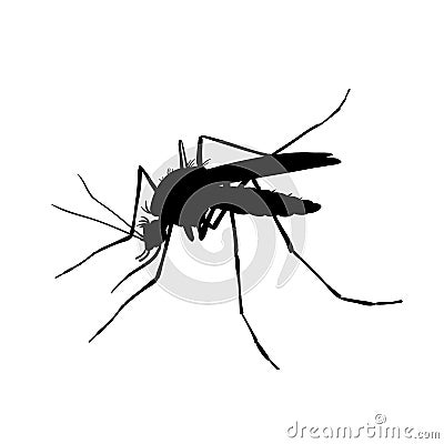 Mosquito. Black and white drawing by hand. Silhouettes Vector Illustration
