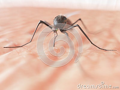 A mosquito Cartoon Illustration