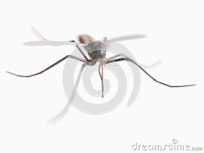 A mosquito Cartoon Illustration