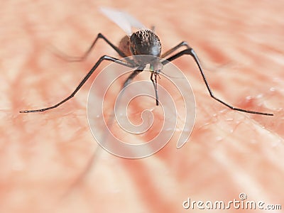A mosquito Cartoon Illustration