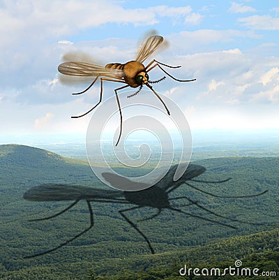 Mosquito Danger Cartoon Illustration