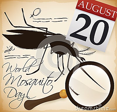 Mosquito Illustration, Magnifying Glass, Notes and Calendar for Mosquito Day, Vector Illustration Vector Illustration