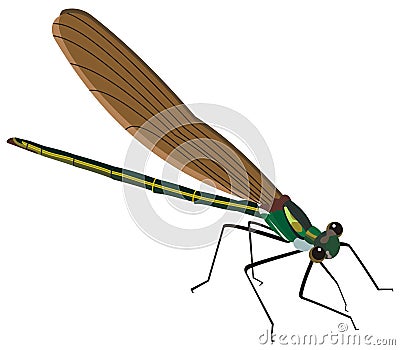 Mosquito insect illustration Stock Photo