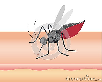 Mosquito sucking blood through human skin icon. Symptoms of dengue fever, Sika virus Stock Photo