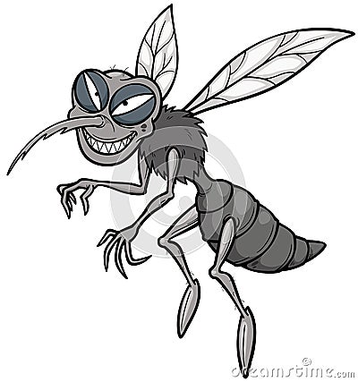 Mosquito Vector Illustration