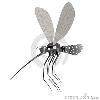 Mosquito white background. Zika virus mosquito. Infective Mosquito. Dangerous mosquito carrier of virus diseases. Zika virus. Vector Illustration