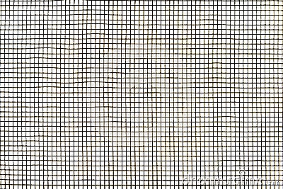 Mosquito wire screen texture on the window Stock Photo