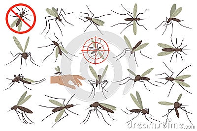 Mosquitoes flat illustrations set. Small flying insect, bites and sucks blood. Neutralize bug Vector Illustration