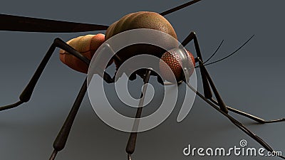 Mosquito Stock Photo