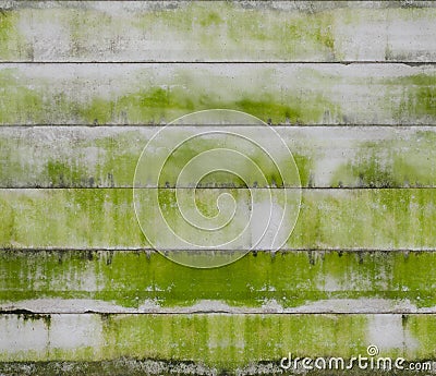 Moss on concrete wall Stock Photo