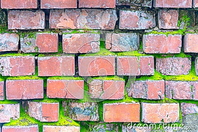 Moss covered brick wall Stock Photo