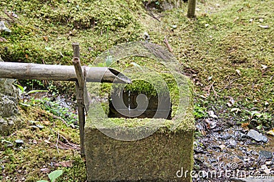 A moss-covered Chozubachi fountain in the garden. Stock Photo