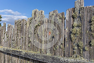 Moss Covered Stockade Fence Background or Backdrop Stock Photo