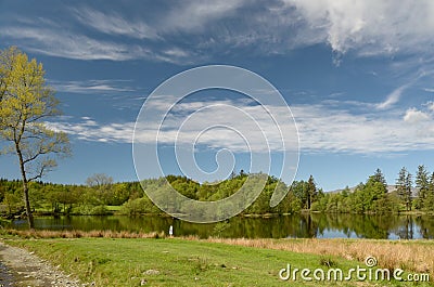 Moss Eccles Tarn on Claife Heights, Lake District Stock Photo