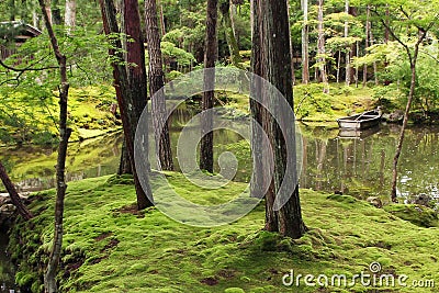 Moss garden in Kyoto Stock Photo