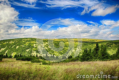 Moss in Giant mountains in National park in Czech republic Stock Photo