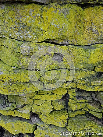 Moss green lichen lawny virid stone rock surface background pattern wall blocks masonry setting Stock Photo