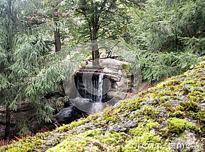 Moss nature forest waterfall Green color Stock Photo