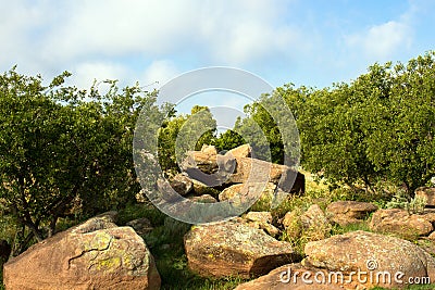 Great Plains State Park Stock Photo