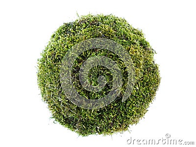 Moss sphere Stock Photo