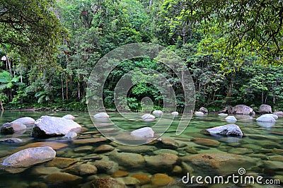 Mossman Gorge Stock Photo