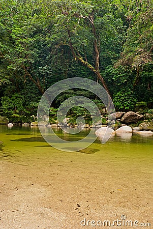 Mossman Gorge rainforest Stock Photo