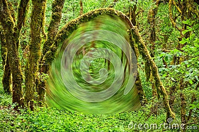 Portal in forest with mossy arch Stock Photo