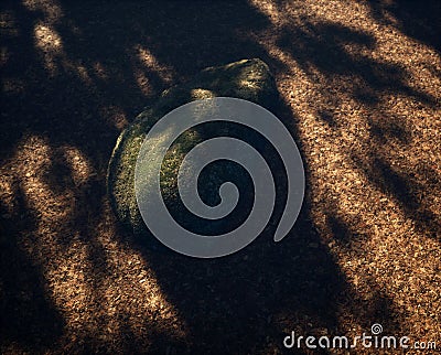 Mossy boulder on forest ground covered in fallen leaves. Stock Photo