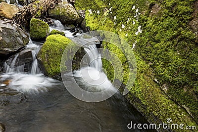 Mossy brook at the Belding Preserve in Vernon, Connecticut Stock Photo