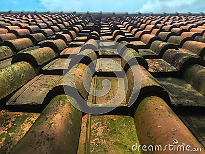 Mossy clay tile Stock Photo