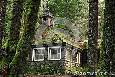 Mossy Country Stone Cottage in the Woods Stock Photo