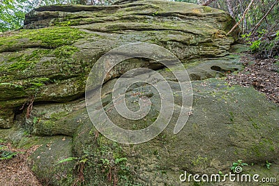 A mossy rock forms in the Przadki Spinners nature reserve Stock Photo