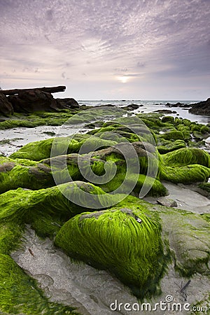 Mossy rocks at a beach in Kudat, Sabah, East Malaysia Stock Photo