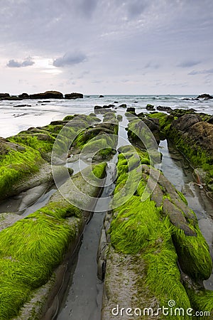 Mossy rocks at a beach in Kudat, Sabah, East Malaysia Stock Photo